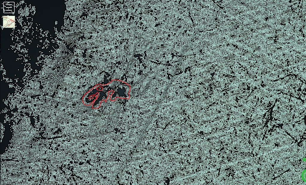 High‑resolution LiDAR anomaly resembling a mastodon